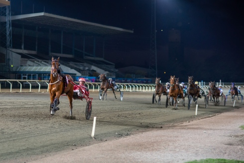 Randemar R.D. och Peter Untersteiner i trav eller galopp över mållinjen? Foto av Mikael Rosenquist/TR Bild